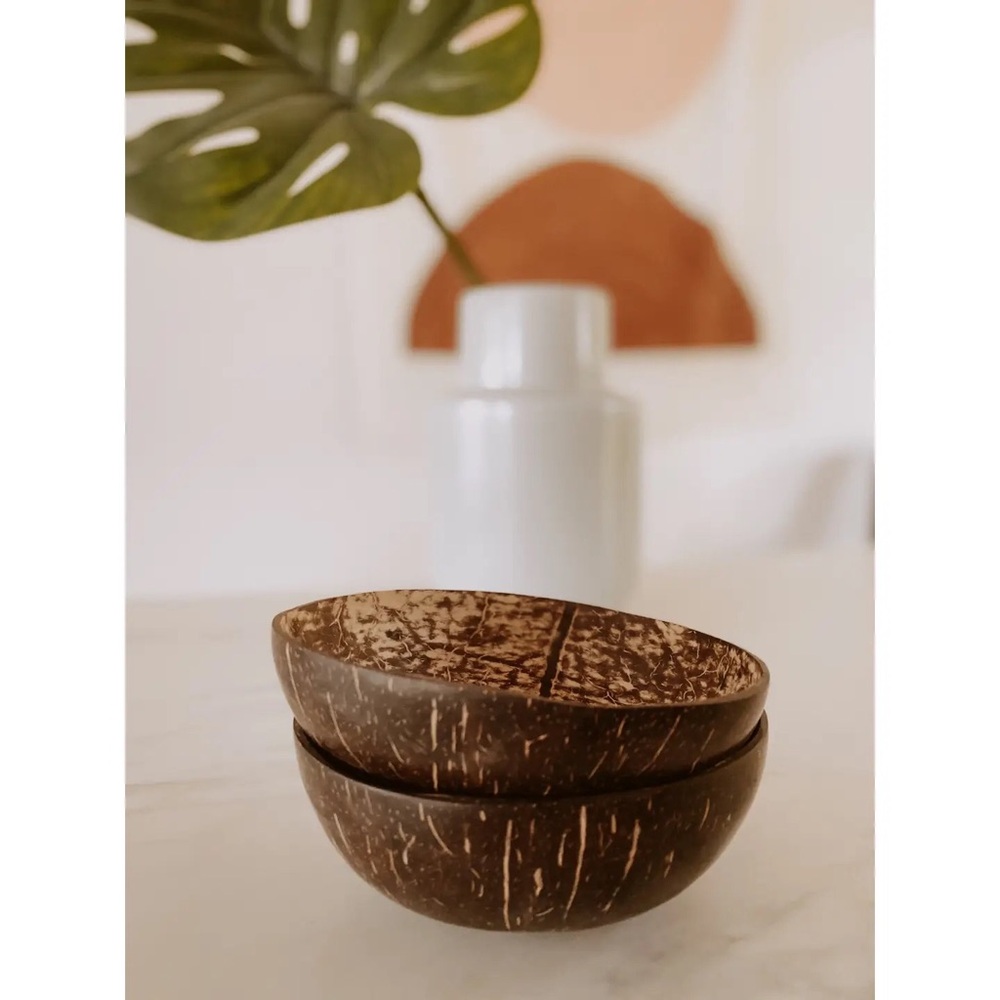 Large Coconut Bowl